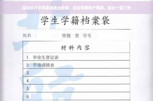 深圳农行手机查询流水攻略，轻松掌握账户明细，流水一目了然