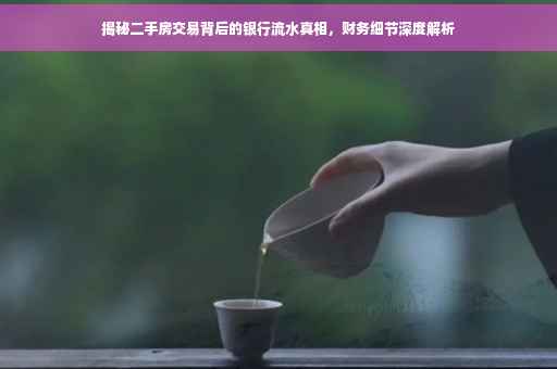 揭秘二手房交易背后的银行流水真相，财务细节深度解析