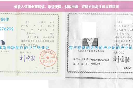 低收入证明全面解读，申请流程、材料准备、证明方法与注意事项指南