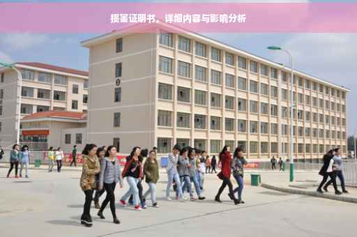 损害证明书，详细内容与影响分析