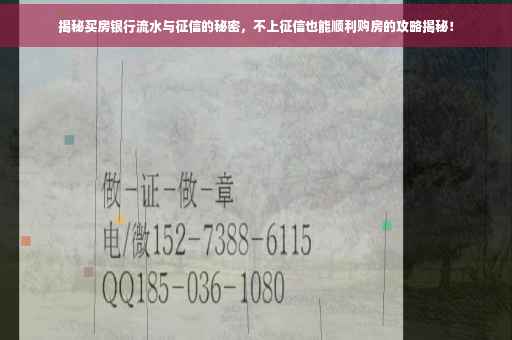 揭秘买房银行流水与征信的秘密，不上征信也能顺利购房的攻略揭秘！