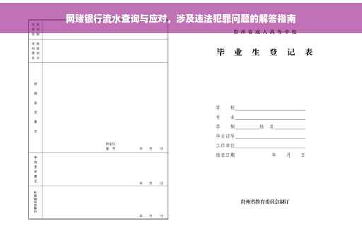 网赌银行流水查询与应对，涉及违法犯罪问题的解答指南