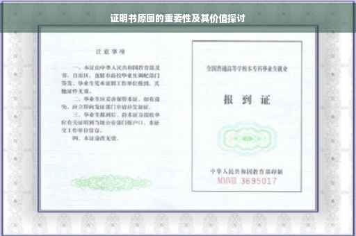 证明书原图的重要性及其价值探讨
