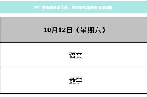 护士中专毕业证丢失，应对策略与补办流程详解