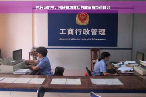 执行证明书，揭秘成功背后的故事与经验教训