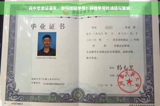 高中毕业证丢失，如何找回学号？寻找学号的途径与策略！