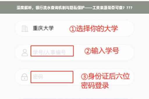 深度解析，银行流水查询机制与隐私保护——工资来源是否可查？???