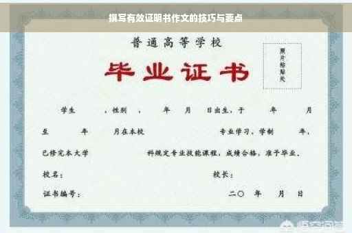 撰写有效证明书作文的技巧与要点