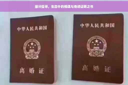 缘分探寻，生命中的相遇与奇迹证明之书