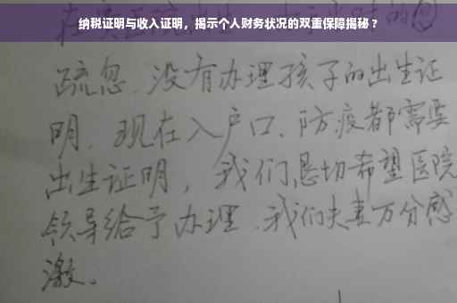 纳税证明与收入证明，揭示个人财务状况的双重保障揭秘 ?