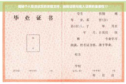 揭秘个人经济状况的关键文件，纳税证明与收入证明的重要性??