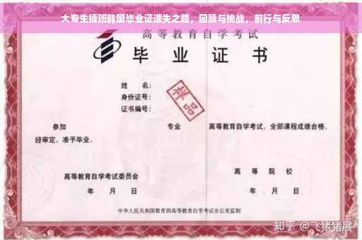 大专生插班韩国毕业证遗失之路，回顾与挑战，前行与反思