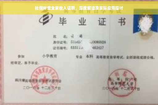 社保所查全家收入证明，深度解读及实际应用探讨
