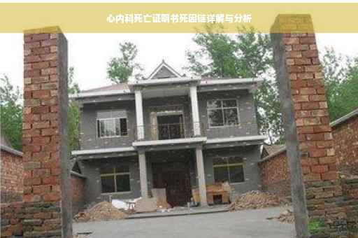 心内科死亡证明书死因链详解与分析
