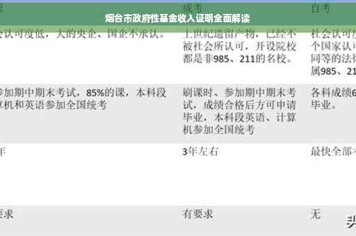 烟台市政府性基金收入证明全面解读