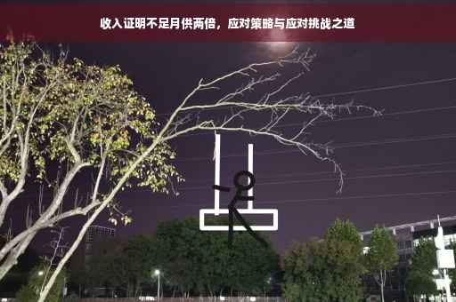 收入证明不足月供两倍，应对策略与应对挑战之道