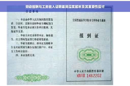 劳动报酬与工资收入证明差异深度解析及其重要性探讨