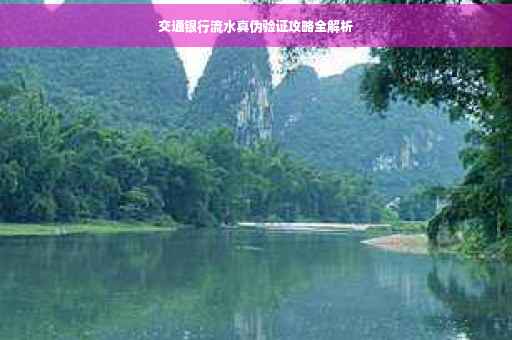 交通银行流水真伪验证攻略全解析