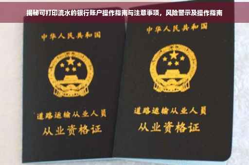 揭秘可打印流水的银行账户操作指南与注意事项，风险警示及操作指南