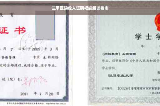 三甲医院收入证明权威解读指南