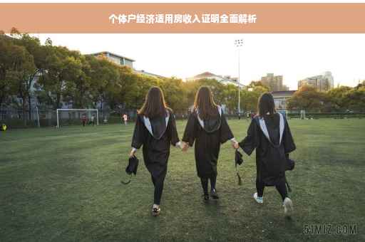 个体户经济适用房收入证明全面解析