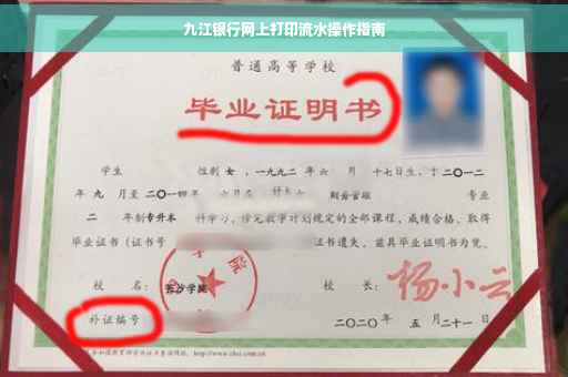 九江银行网上打印流水操作指南