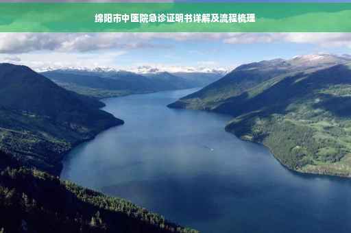 绵阳市中医院急诊证明书详解及流程梳理