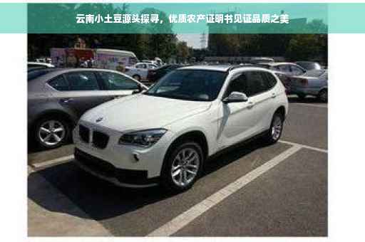 云南小土豆源头探寻，优质农产证明书见证品质之美
