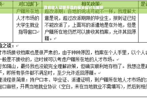 政府收入证明开具的相关探讨与解析