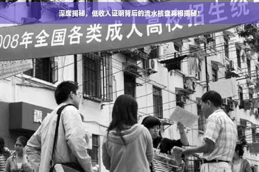 深度揭秘，低收入证明背后的流水核查真相揭秘！