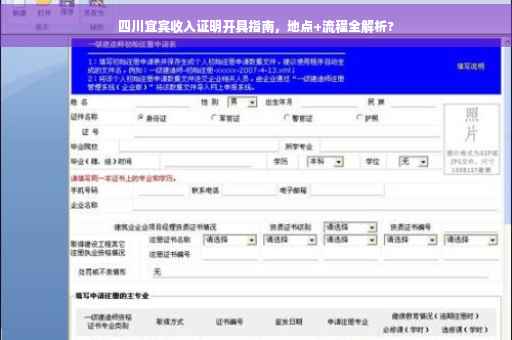 四川宜宾收入证明开具指南，地点+流程全解析?