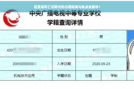 周至县死亡证明书的办理指南与地点全解析?