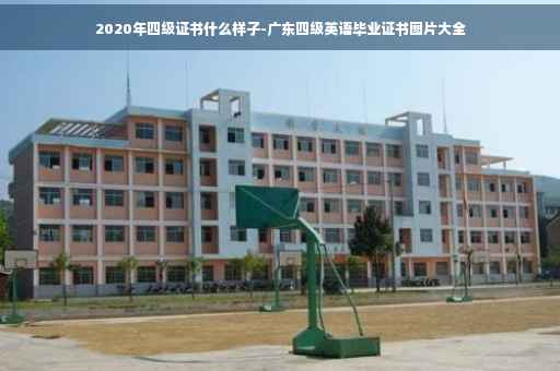 2020年四级证书什么样子-广东四级英语毕业证书图片大全