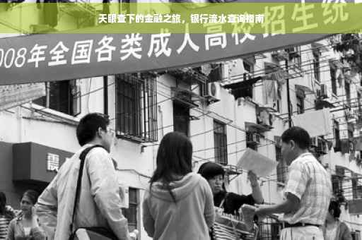 天眼查下的金融之旅，银行流水查询指南