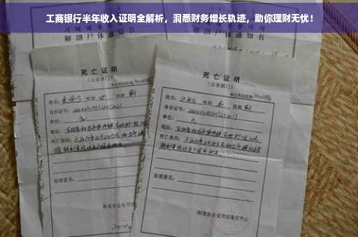 工商银行半年收入证明全解析，洞悉财务增长轨迹，助你理财无忧！