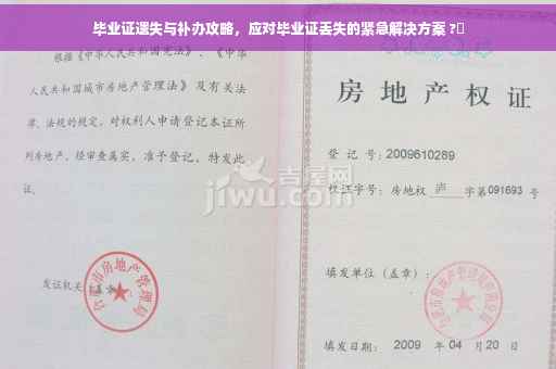 毕业证遗失与补办攻略，应对毕业证丢失的紧急解决方案 ?✨