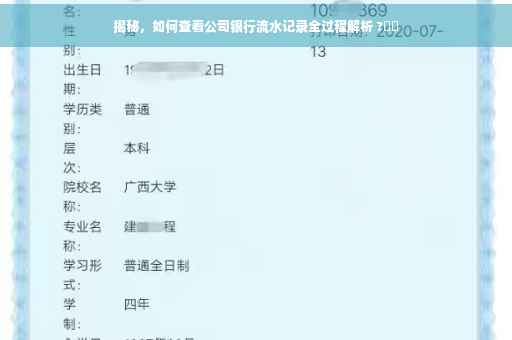 揭秘，如何查看公司银行流水记录全过程解析 ?⚡️
