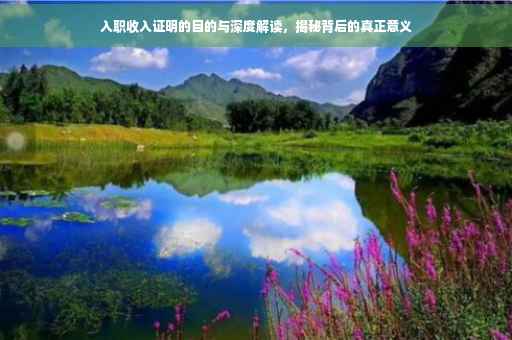 入职收入证明的目的与深度解读，揭秘背后的真正意义