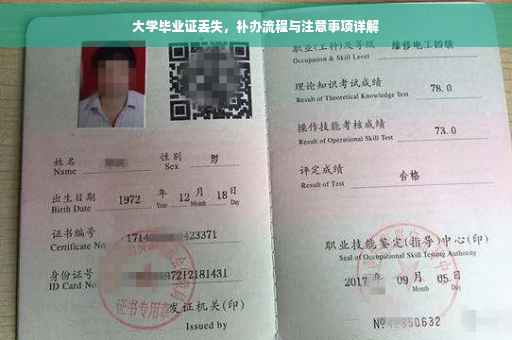 大学毕业证丢失，补办流程与注意事项详解