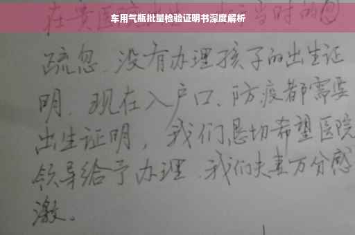 车用气瓶批量检验证明书深度解析