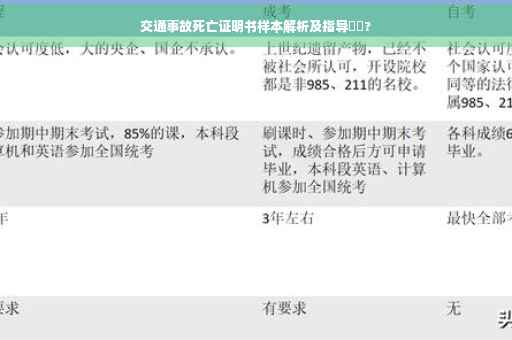 交通事故死亡证明书样本解析及指导⚡️?