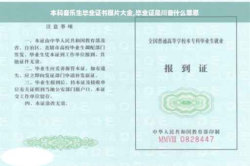 本科音乐生毕业证书图片大全,毕业证是川音什么意思