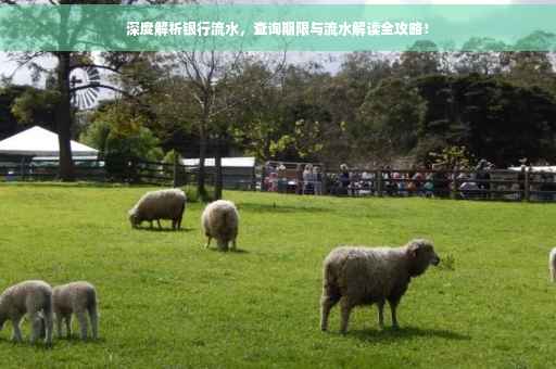 深度解析银行流水,查询期限与流水解读全攻略! 深度解析银行流水,查询期限与流水解读全攻略!