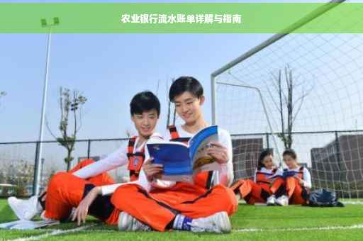 农业银行流水账单详解与指南