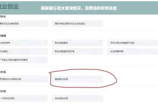 揭秘银行流水查询情况，洞悉你的财务动态