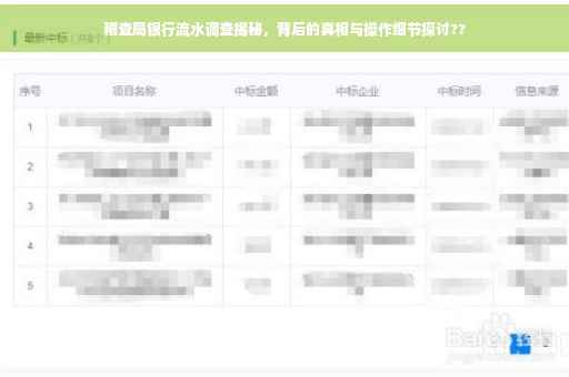 稽查局银行流水调查揭秘，背后的真相与操作细节探讨??