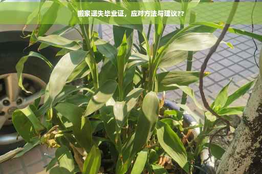 搬家遗失毕业证，应对方法与建议??