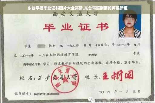东台学校毕业证书图片大全高清,东台驾照到期如何换新证
