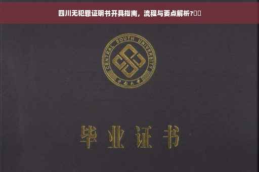 四川无犯罪证明书开具指南，流程与要点解析?⚡️
