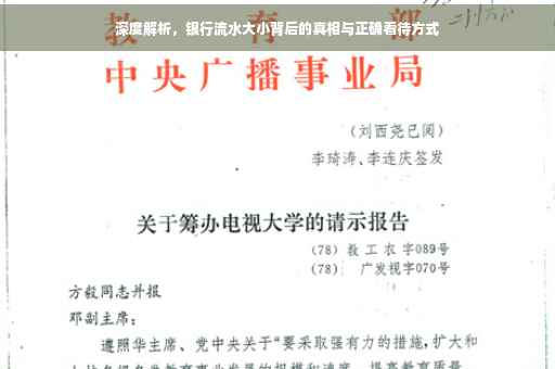 深度解析，银行流水大小背后的真相与正确看待方式